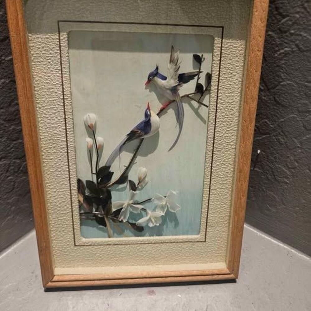 10.5" X 7.5" Shadow Box 3D  Blue Jay Bird on Branch Picture